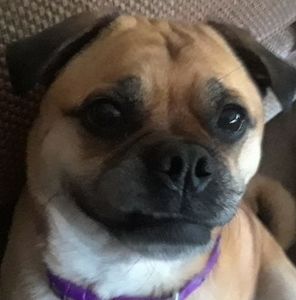 Meet your Posher, Linda